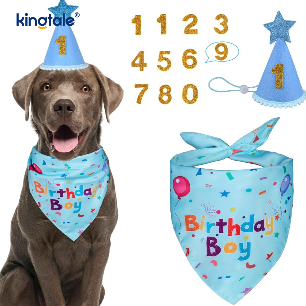 Set bandana aniversare animal de companie