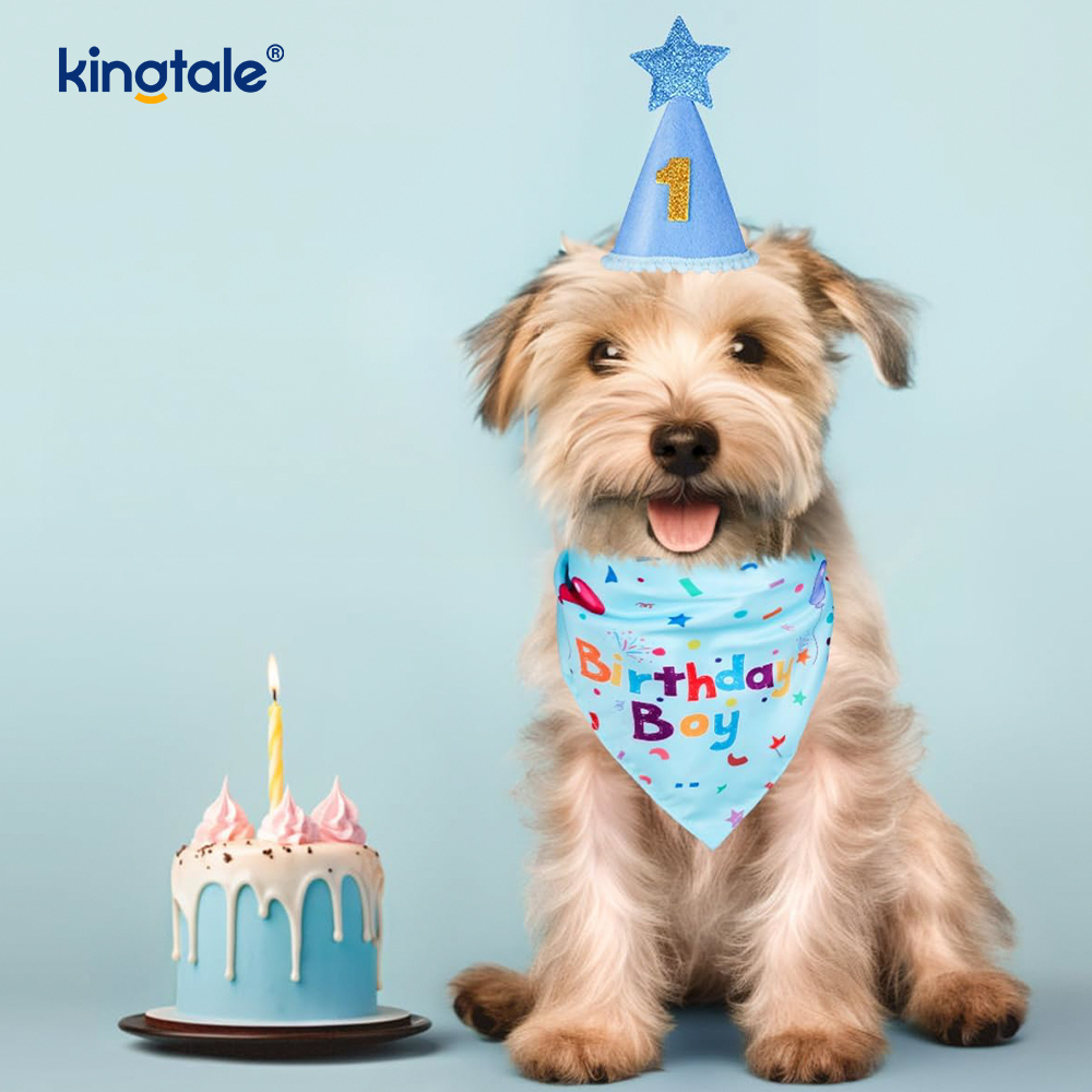 Set bandana aniversare animal de companie