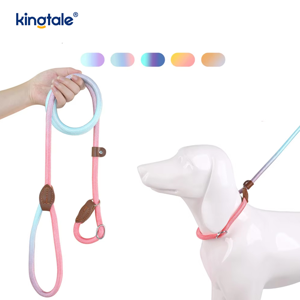 Macarons Slip Dog Lesa