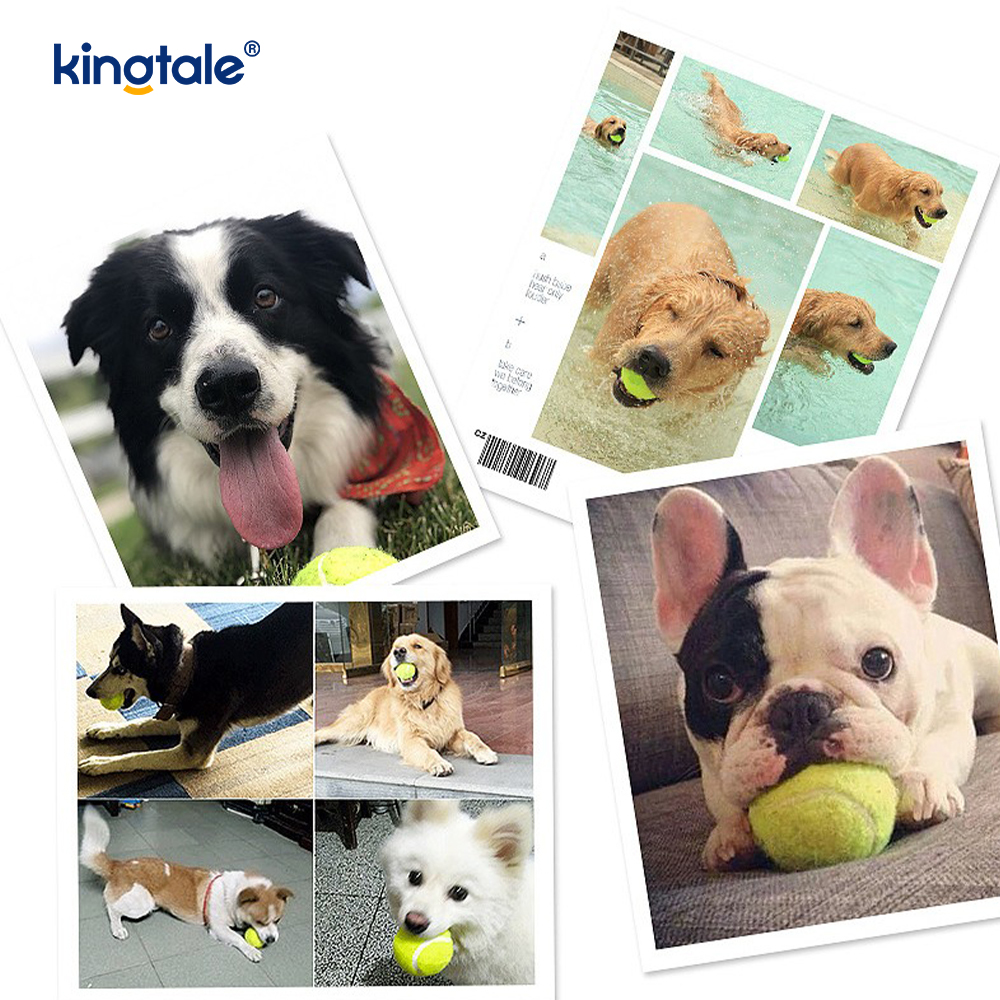 Jucărie pentru animale de companie Tenis Durabilă și rezistentă la mușcături pentru exercițiul interactiv de mestecat pentru animale de companie