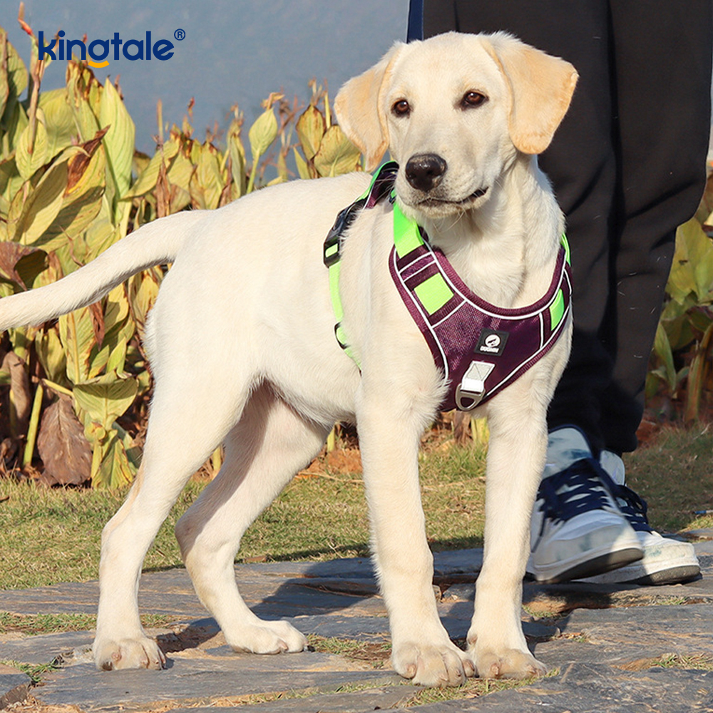 Nit de nailon, reflectorizant, reglabil, respirabil, sport, ham pentru animale de companie