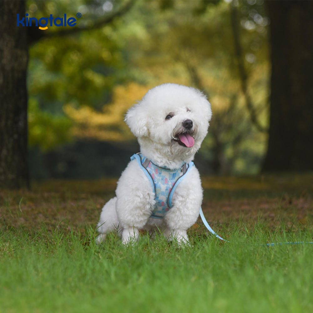 Harnaș căptușit pentru animale de companie în stil vestă. Lesă reflectorizantă anti-șoc