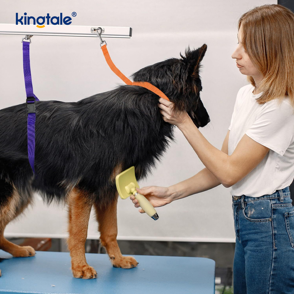 Comerț cu ridicată pentru îngrijirea animalelor de companie, lesă reținere, cura de siguranță de reglabilă