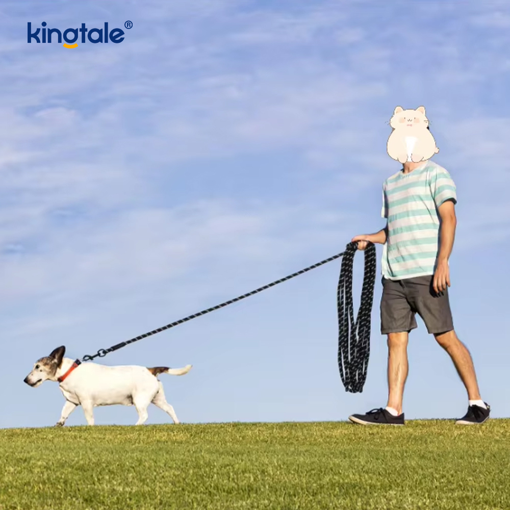 Lesă pentru câini din nailon cu imprimeu la modă reflectorizante. Lese pentru animale de companie