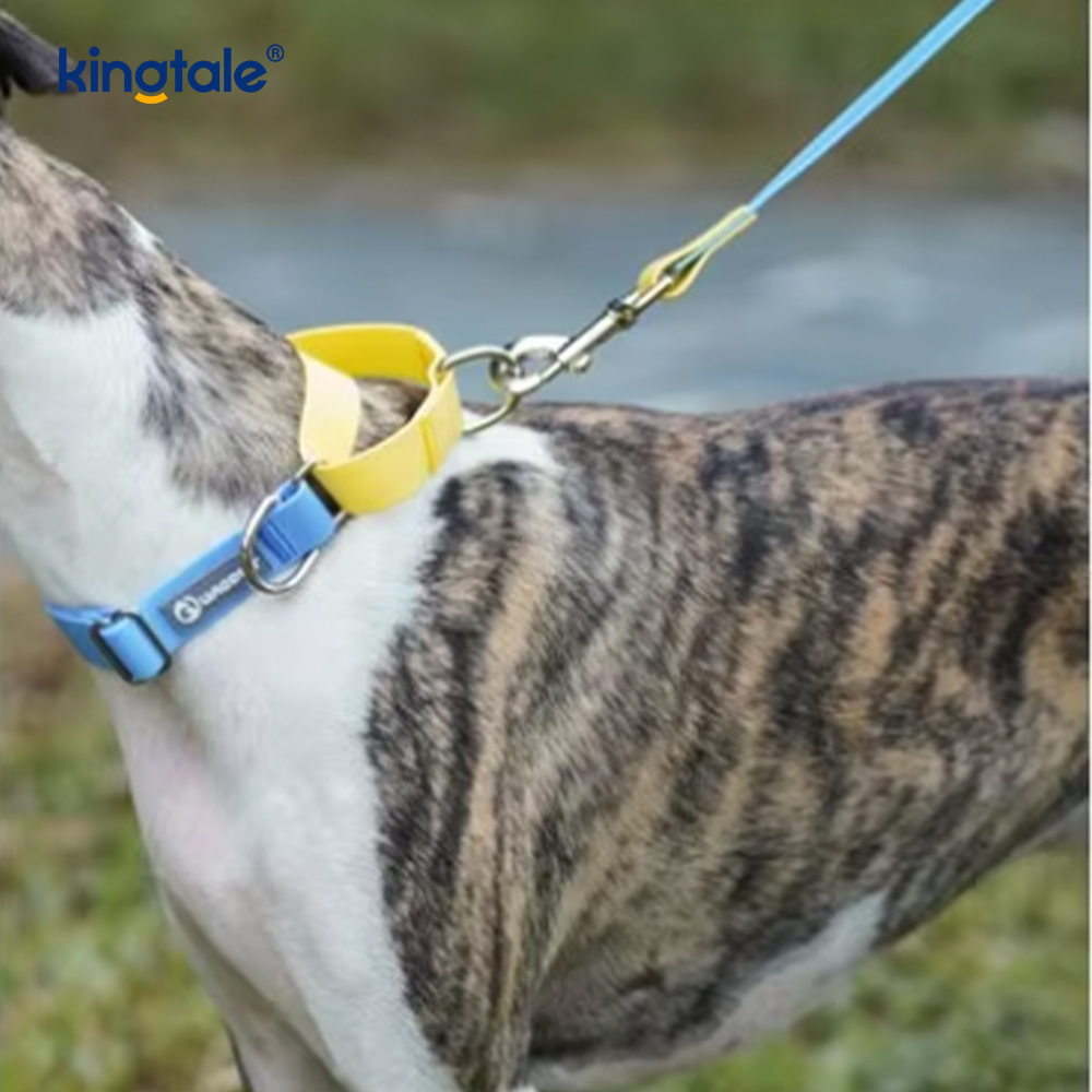 Lesă pentru câini rezistentă la apă Moda de lux Materiale simple din nailon pentru animale de companie